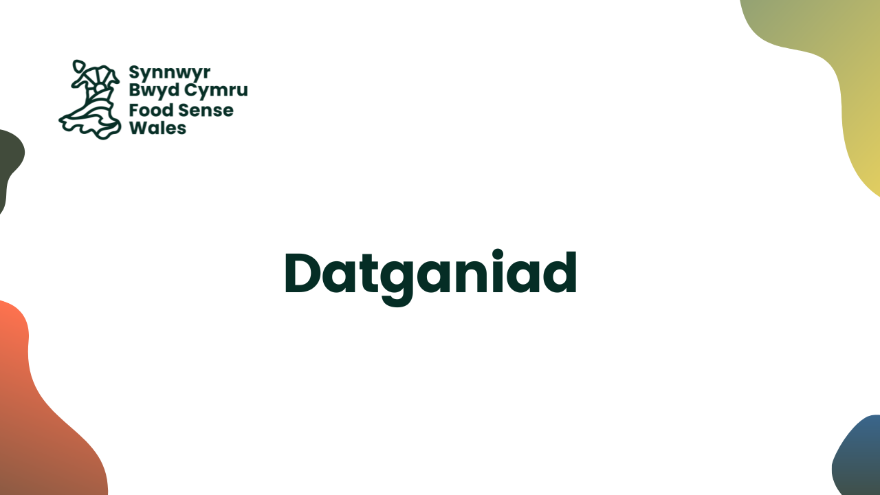 Datganiad1
